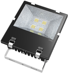 FL COB 150W